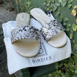 Birdies, The Sparrow Silver Shadow (8.5)